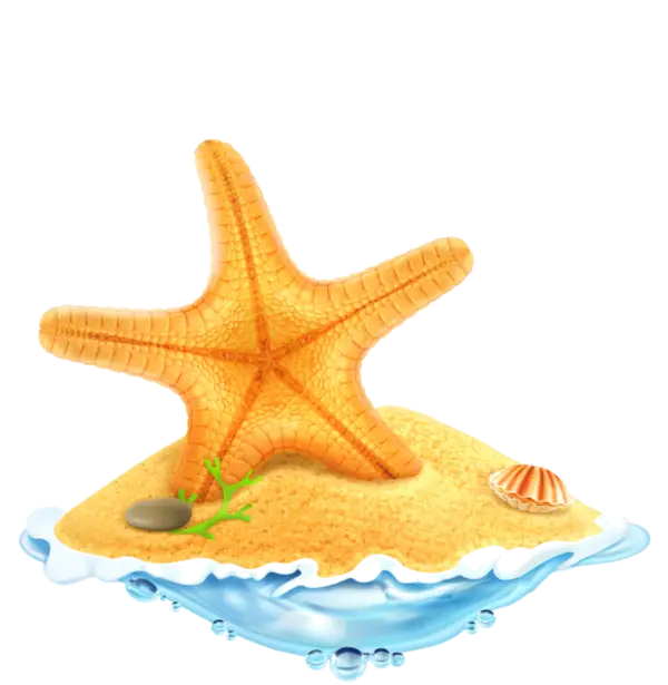Starfish and Seashell on Sandy Beach