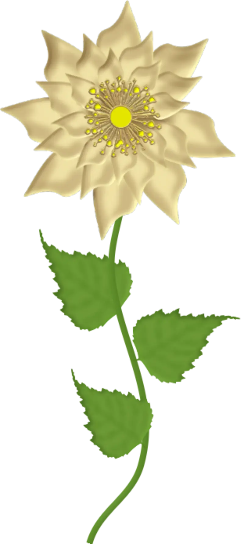 Yellow Sunflower Illustration