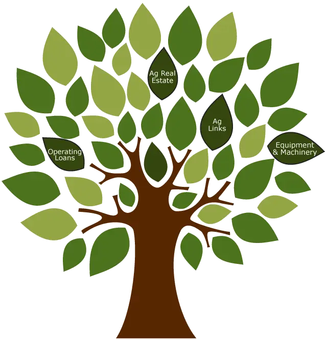 Tree Illustration with Conceptual Design
