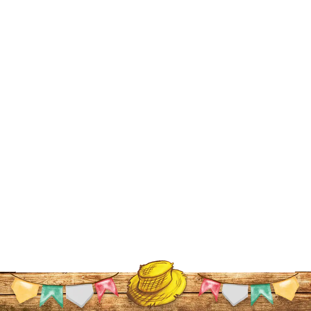 Festive Party Decorations