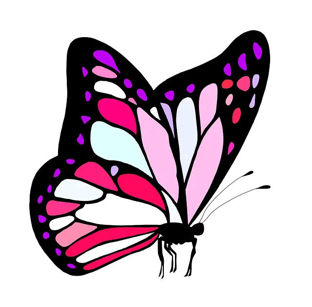 Pink and Black Butterfly Illustration