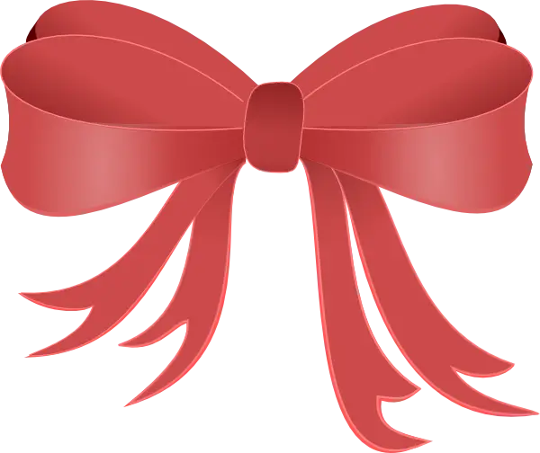 Red Decorative Bow