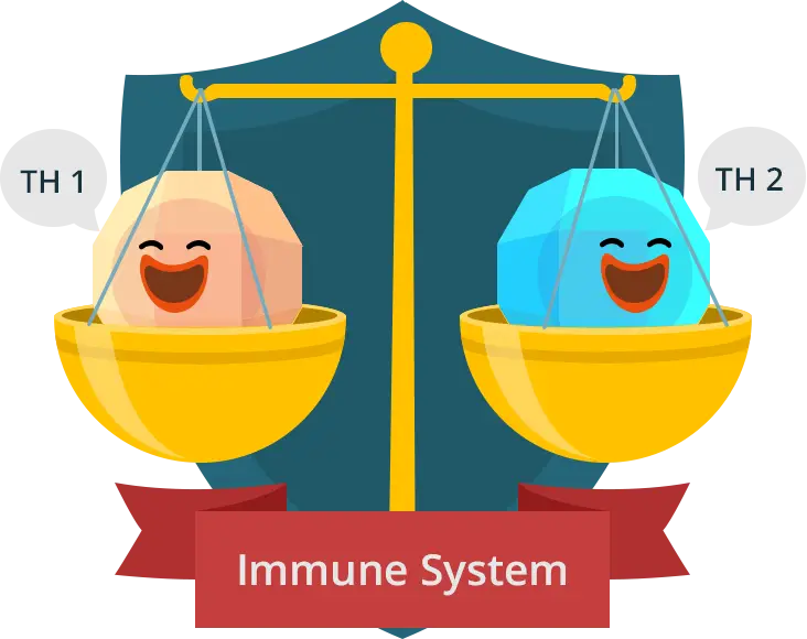 Immune System Illustration