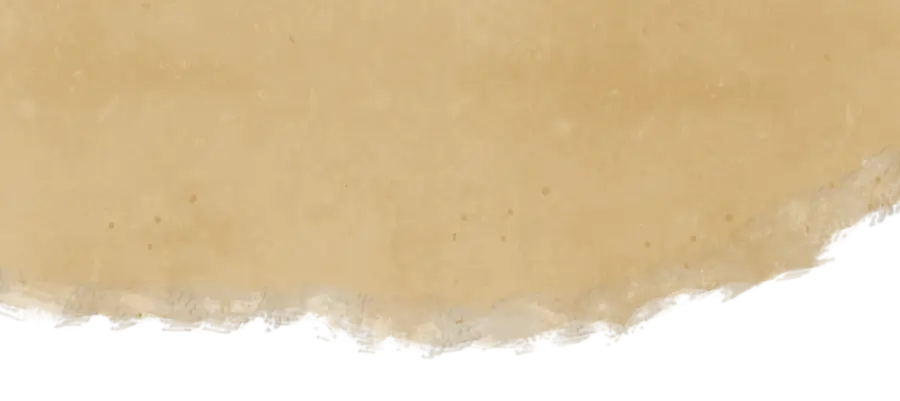Vintage Torn Paper Edge