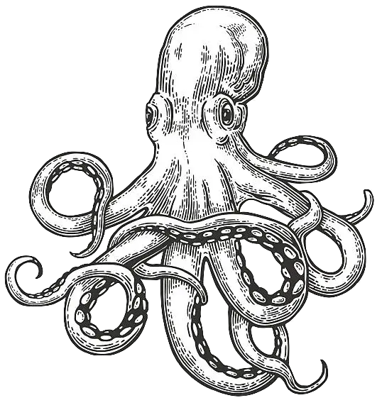 Hand-Drawn Octopus Illustration