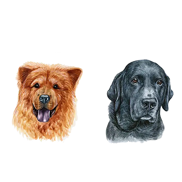 Realistic Dog Faces Portraits