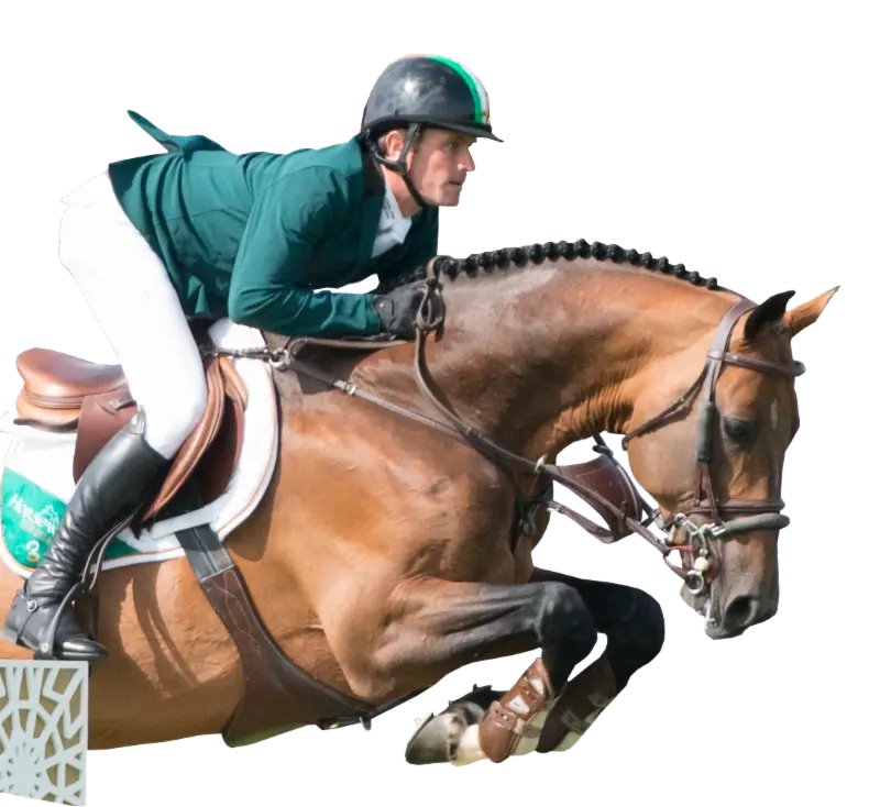 Horse Rider in Competition