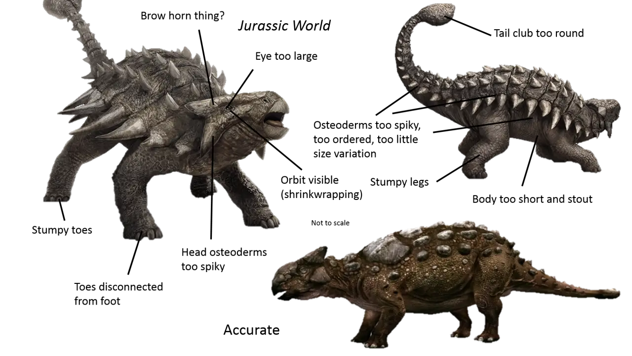 Dinosaur Accuracy Comparison