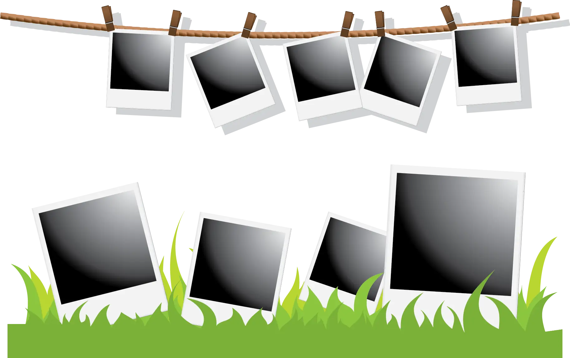 Hanging Photo Frames on Grass