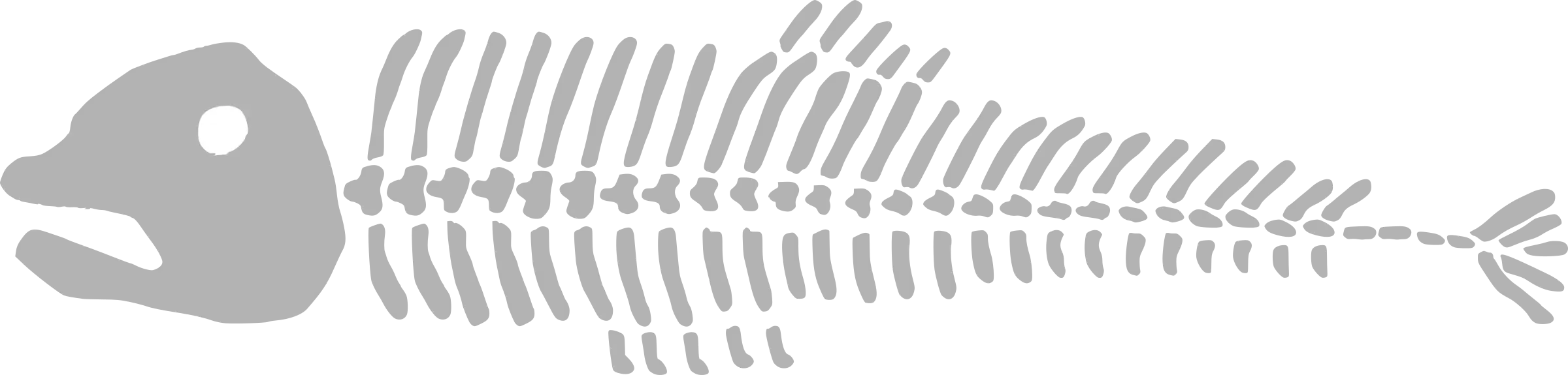 Illustration of a Fish Skeleton
