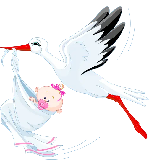 Stork Delivering a Baby Cartoon Illustration