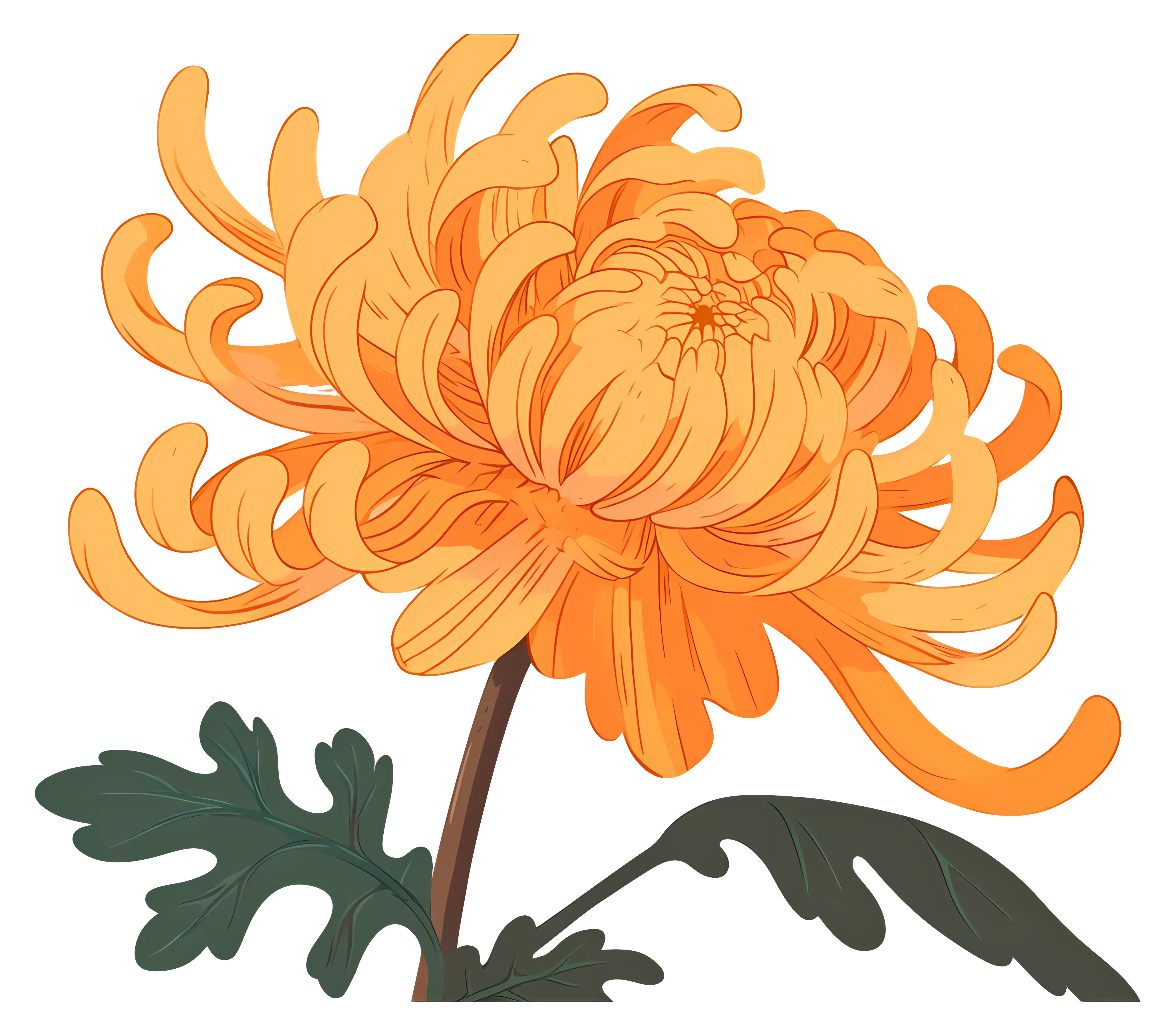 Beautiful Yellow Chrysanthemum Flower