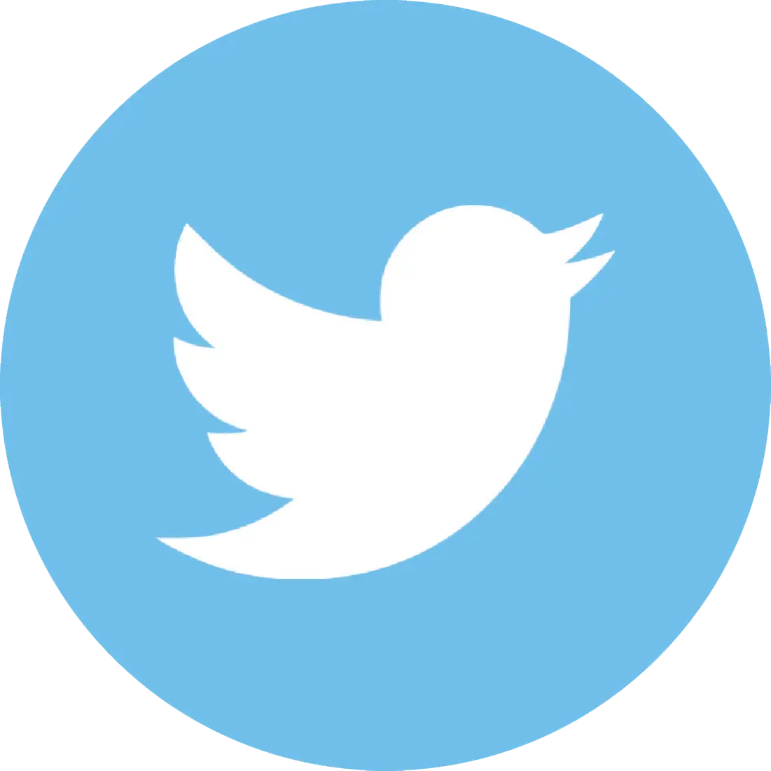 Twitter Bird Logo Representing Social Media Platform