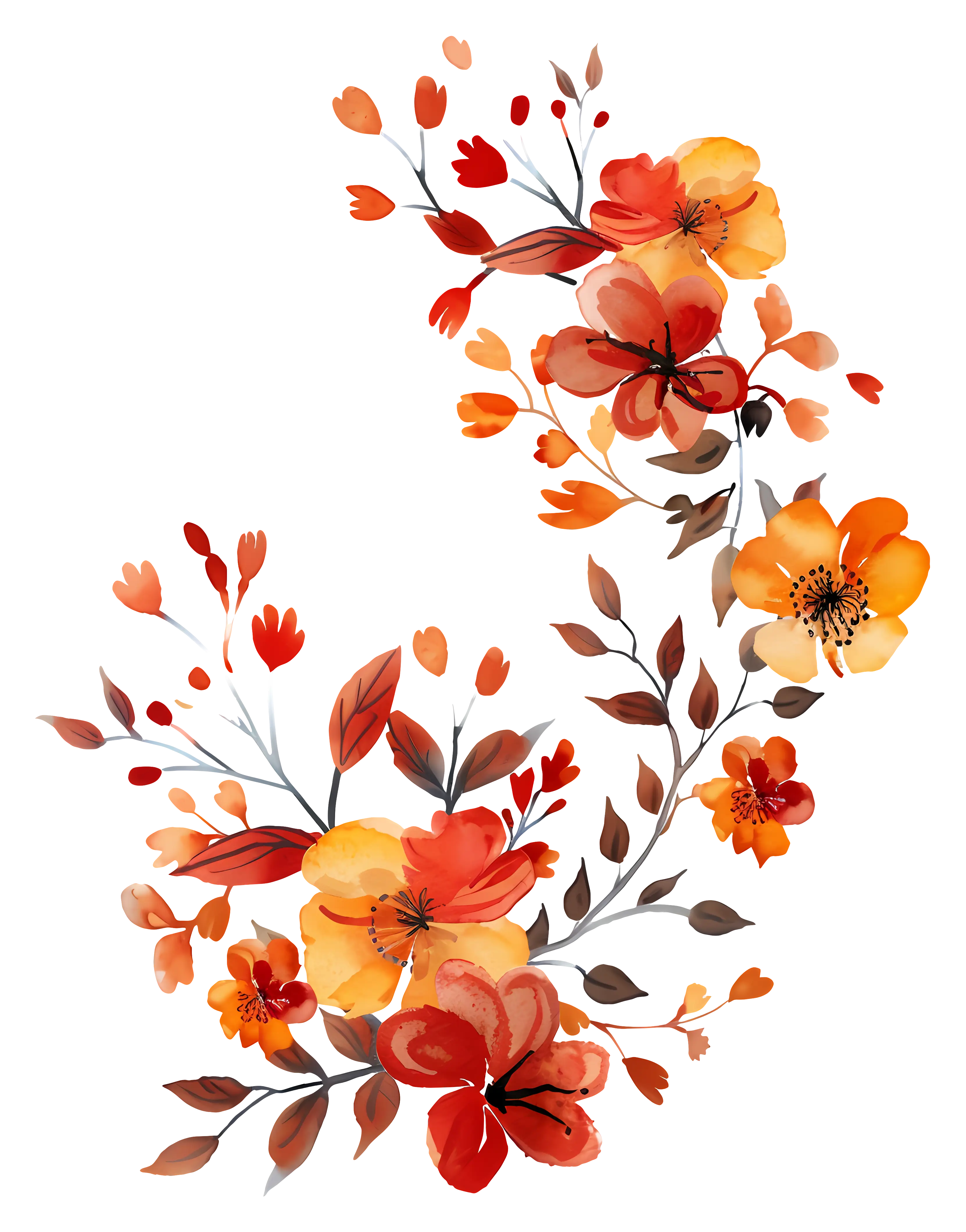Red and Orange Autumn Flowers Illustration