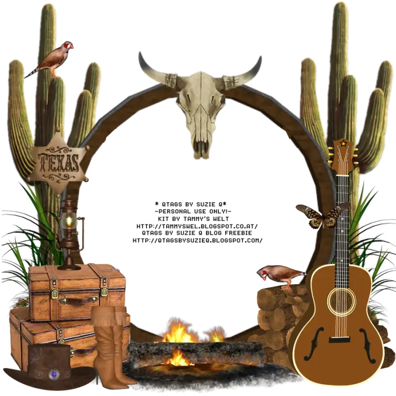 Western Themed Decor
