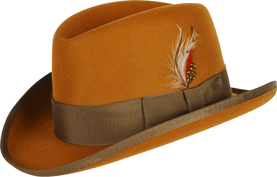Brown Hat with Feather Design