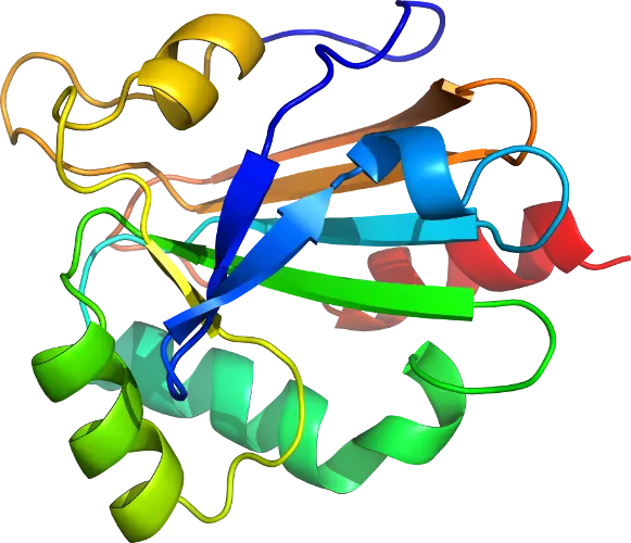 Colorful Representation of a Protein Structure