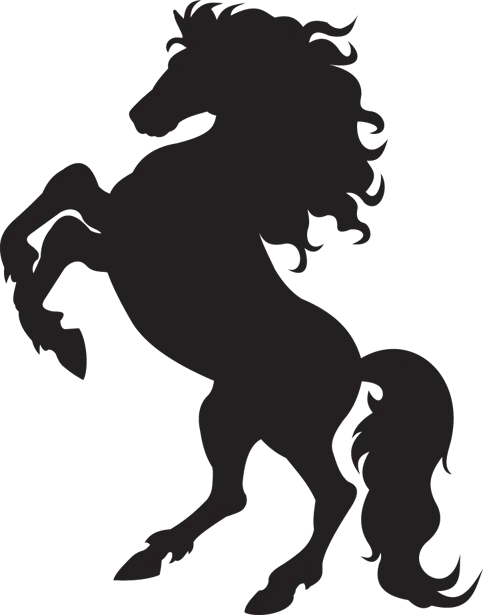 Black Silhouette of a Rearing Horse