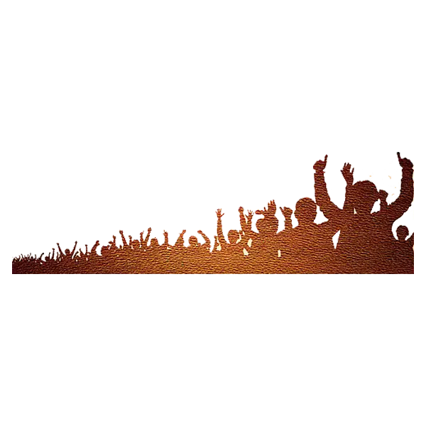 Silhouette of Celebrating Crowd