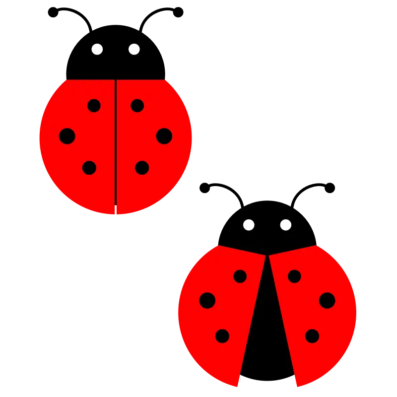 Cute Cartoon Ladybugs Illustration