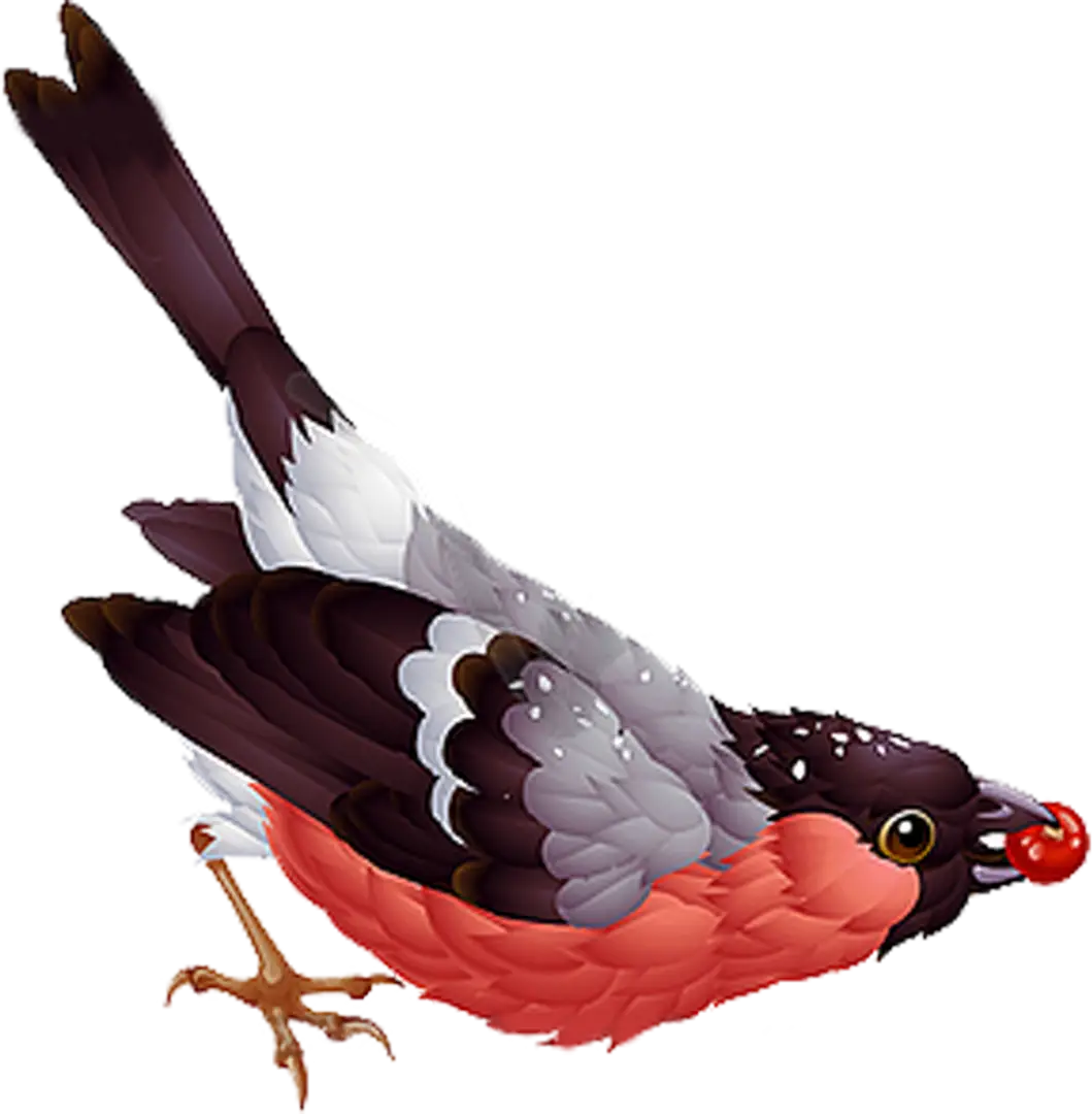 Bird Eating Red Berry