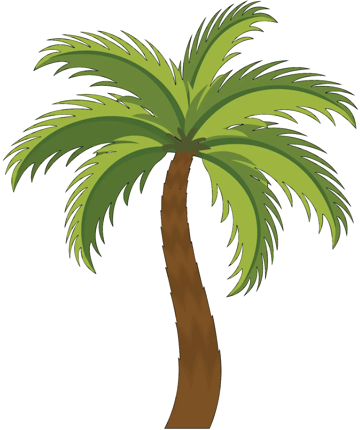 Palm Tree Illustration