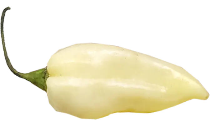 White Pepper Vegetable