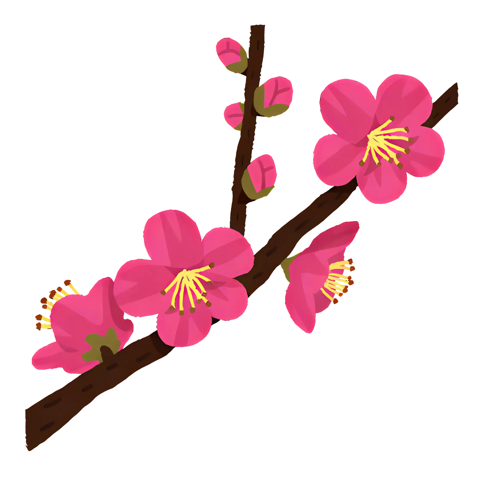 Pink Cherry Blossoms Branch Design