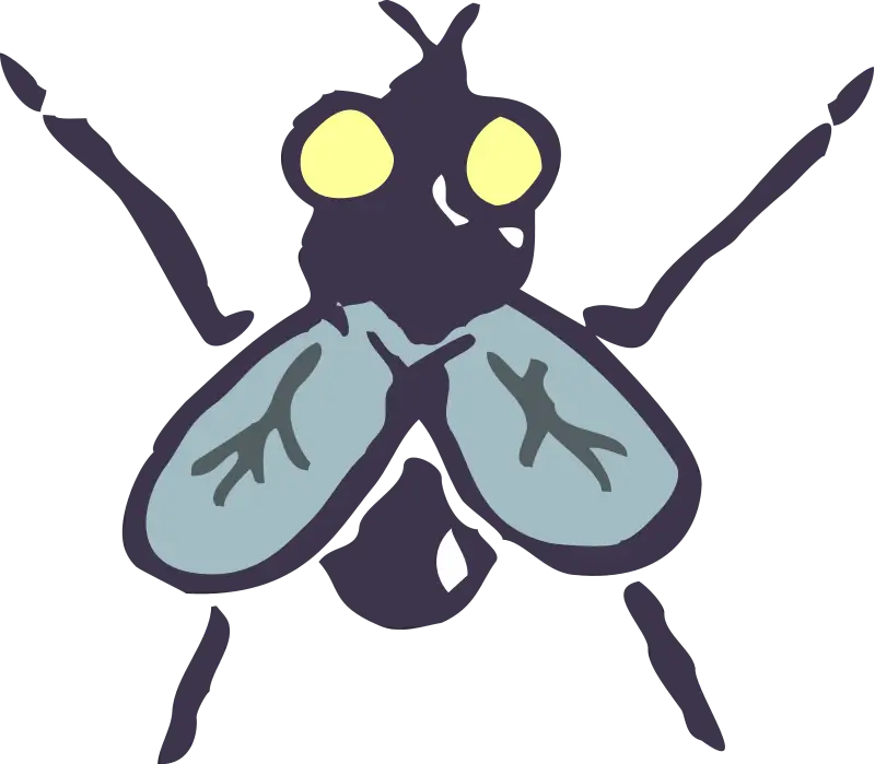 Cartoon Fly Illustration