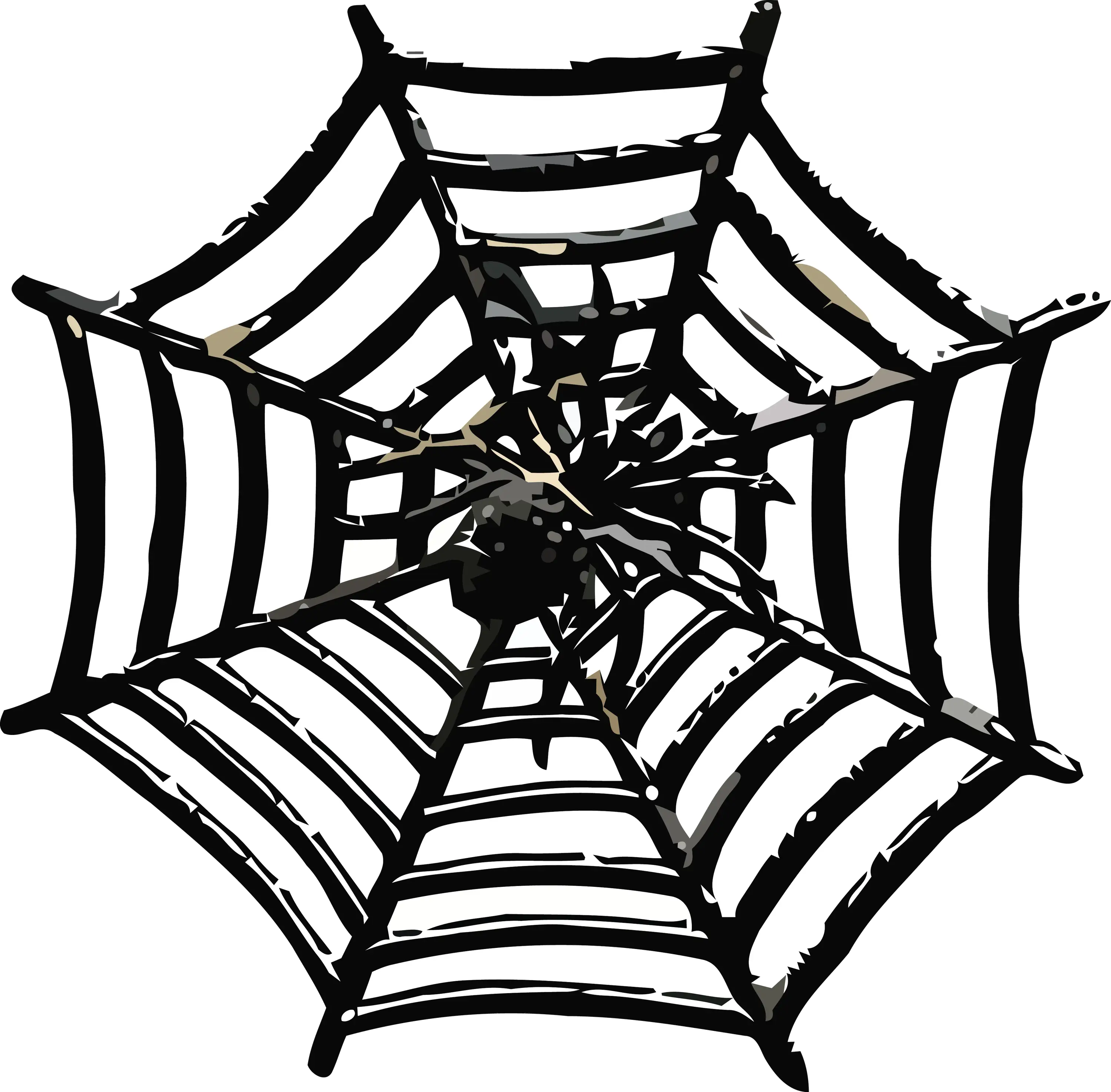 Spider and Web for Halloween