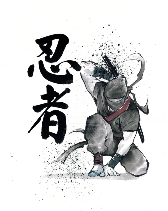 Ninja Warrior Illustration