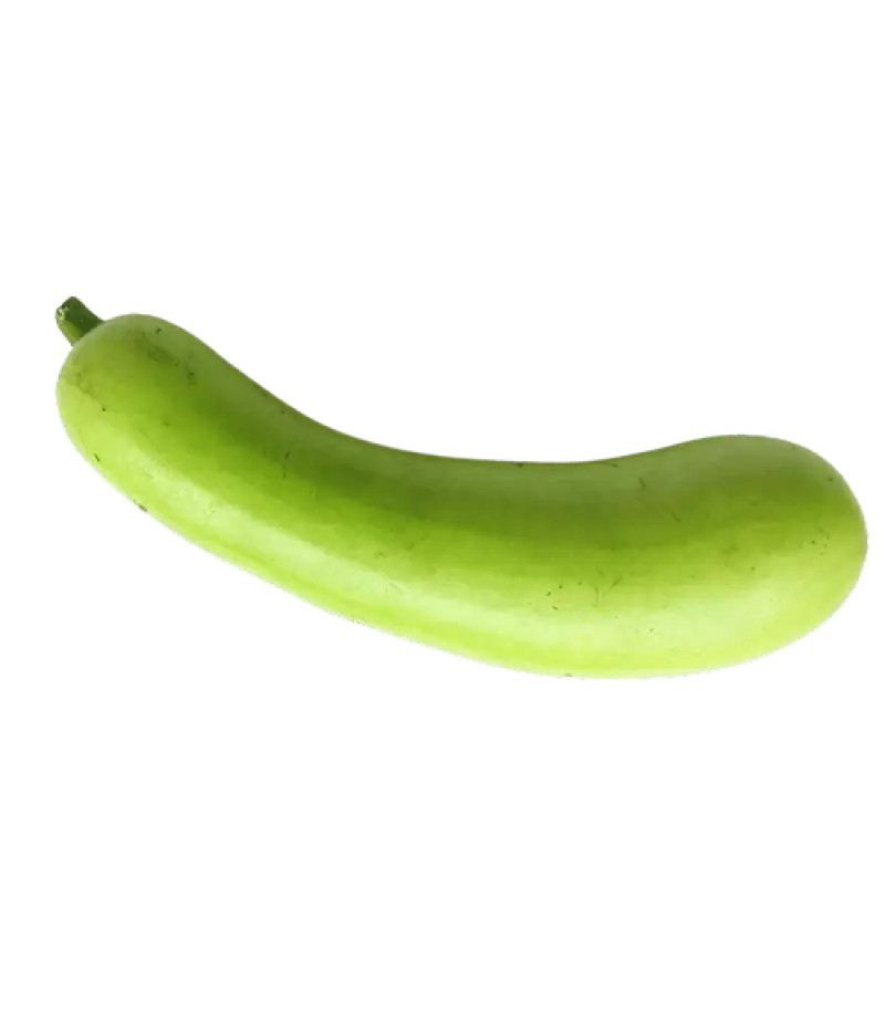 Green Cucumber