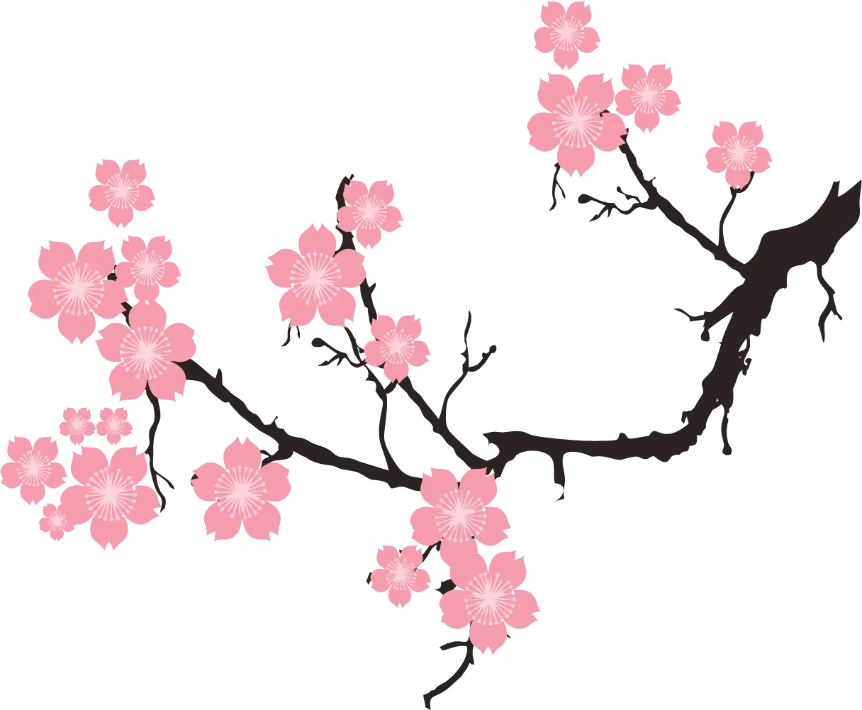 Cherry Blossom Branch with Pink Flowers