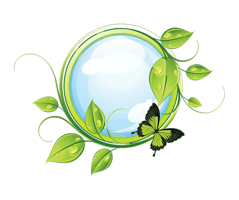 Nature circle frame with butterfly and leaves