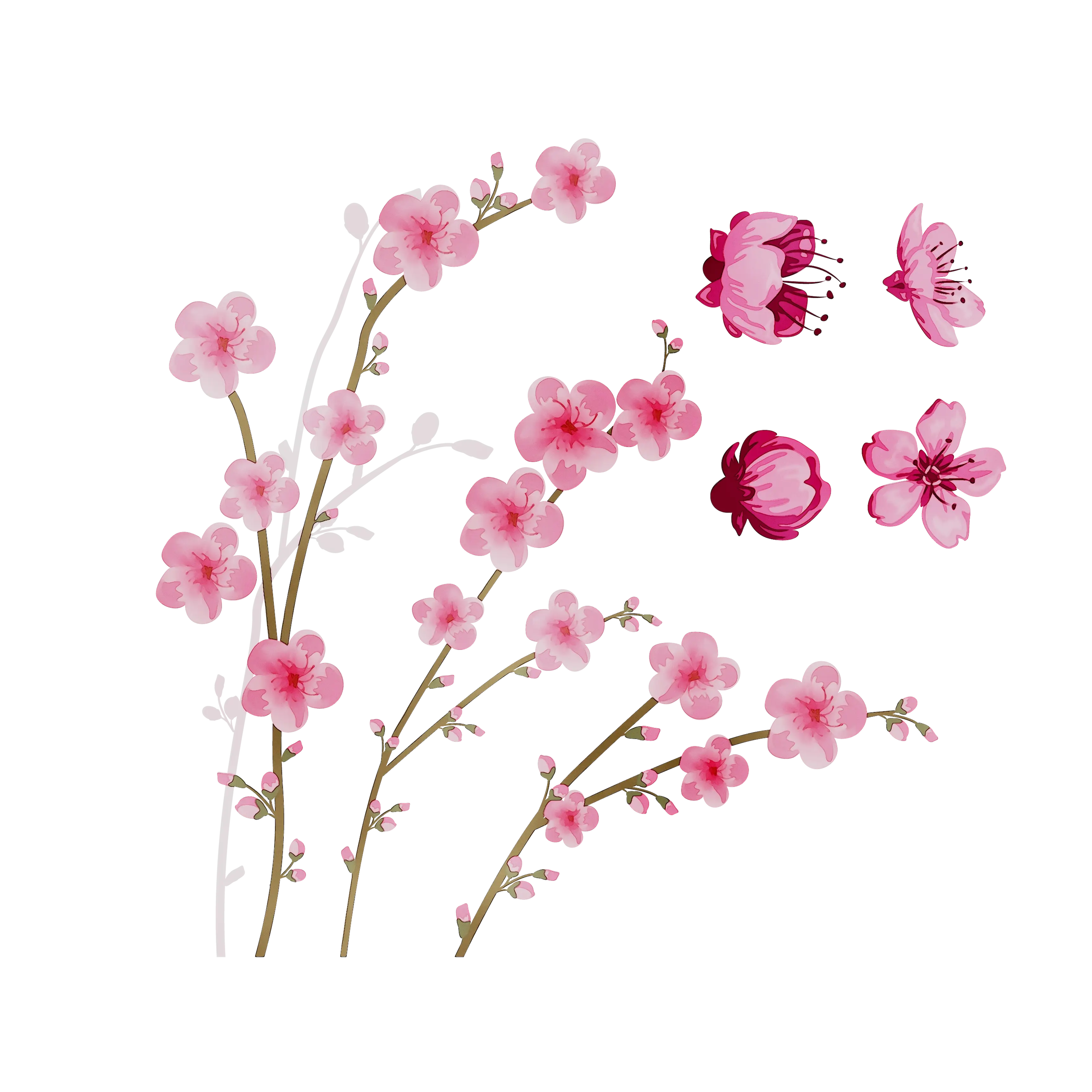 Cherry Blossom Branches in Pink
