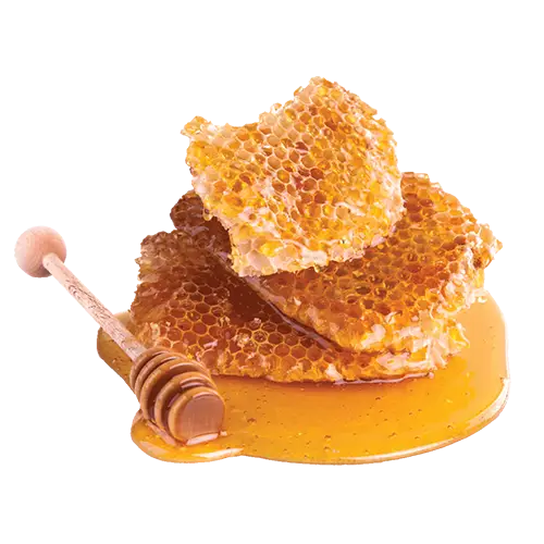 Honeycomb and Honey with Dripper