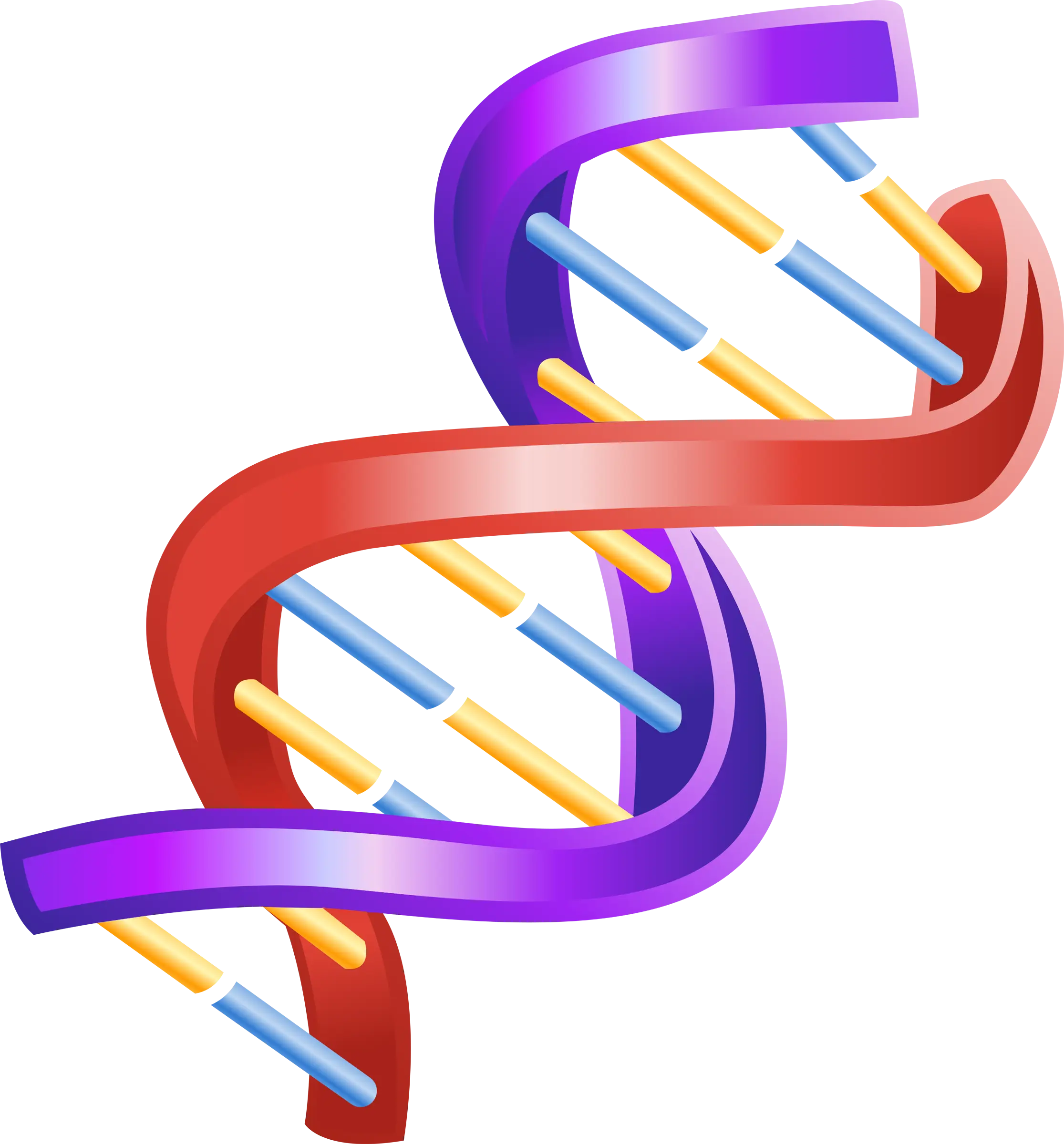 Colorful DNA Double Helix