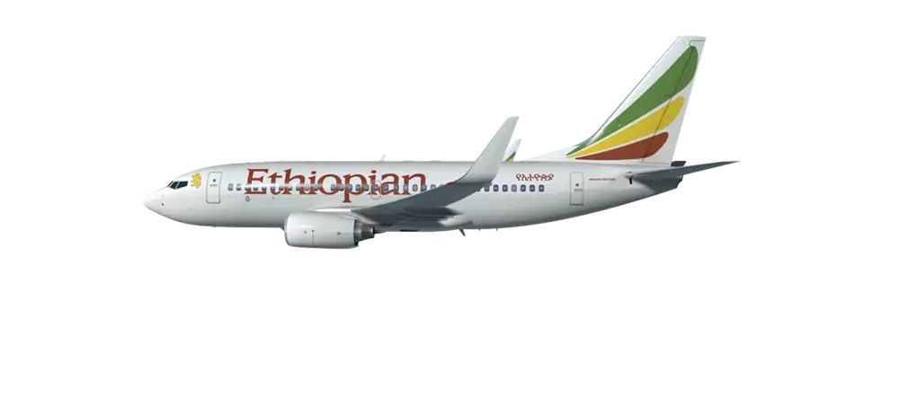 Ethiopian Airplane in Flight