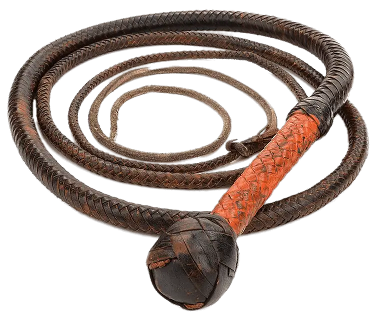 Detailed Leather Whip