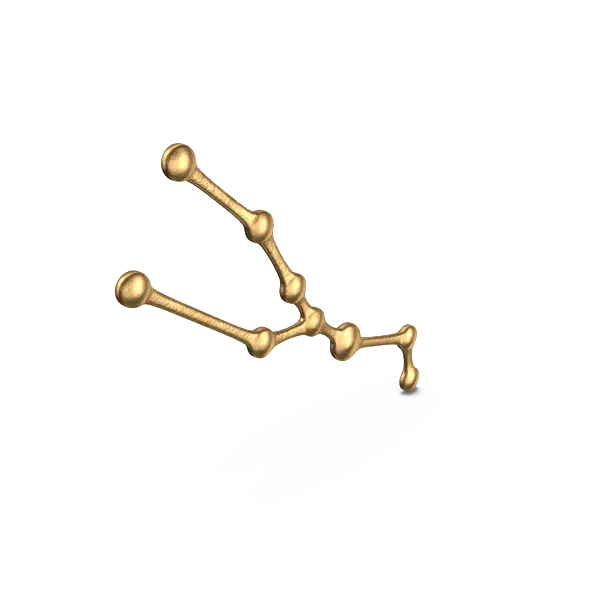 Golden Decorative Bones