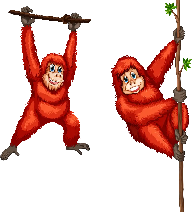 Cartoon Monkeys Swinging on Jungle Vines