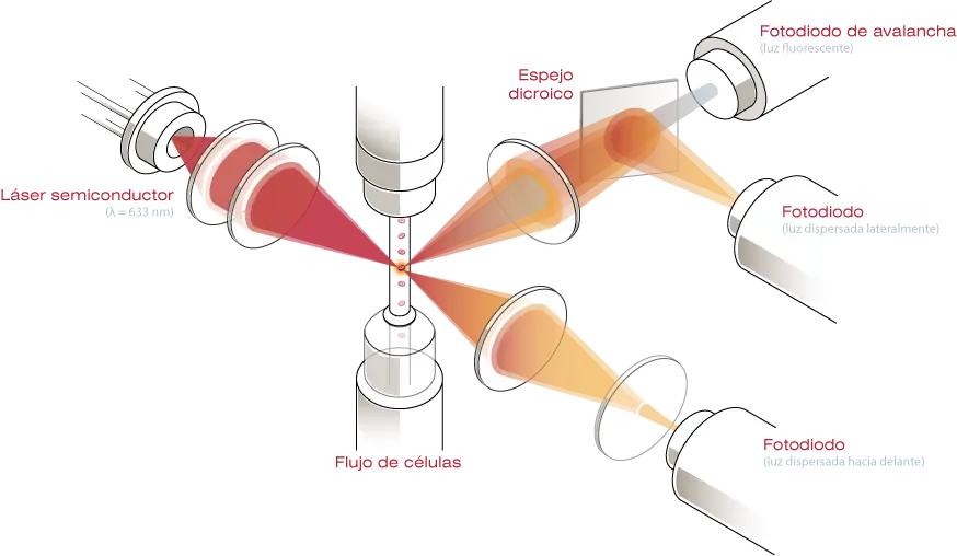 Laser Technology Diagram