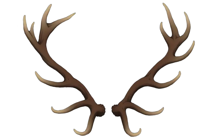 Deer Antlers Nature Illustration