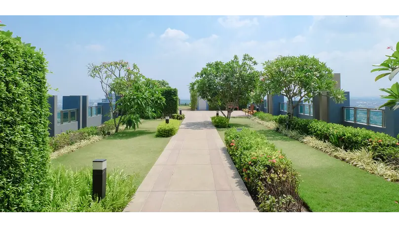 Garden Path with Trees and Grass