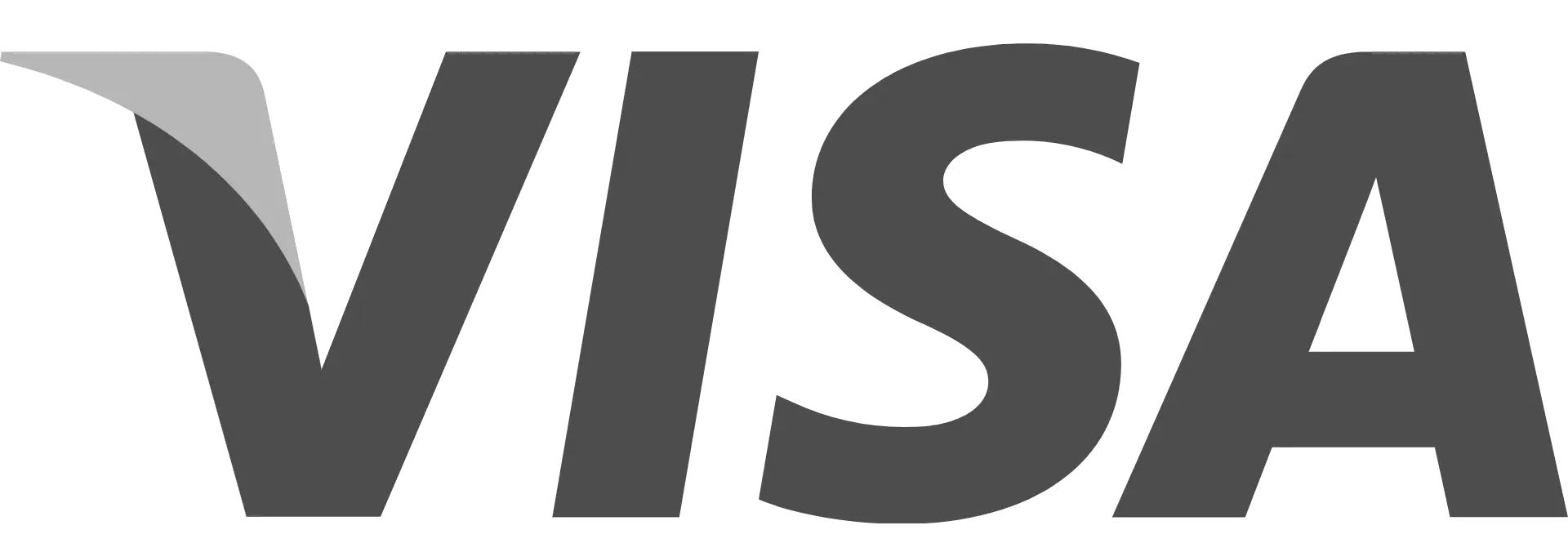 Visa Logo for Payment Services