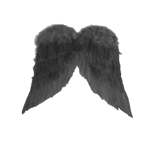 Black Feathered Wings for Decoration
