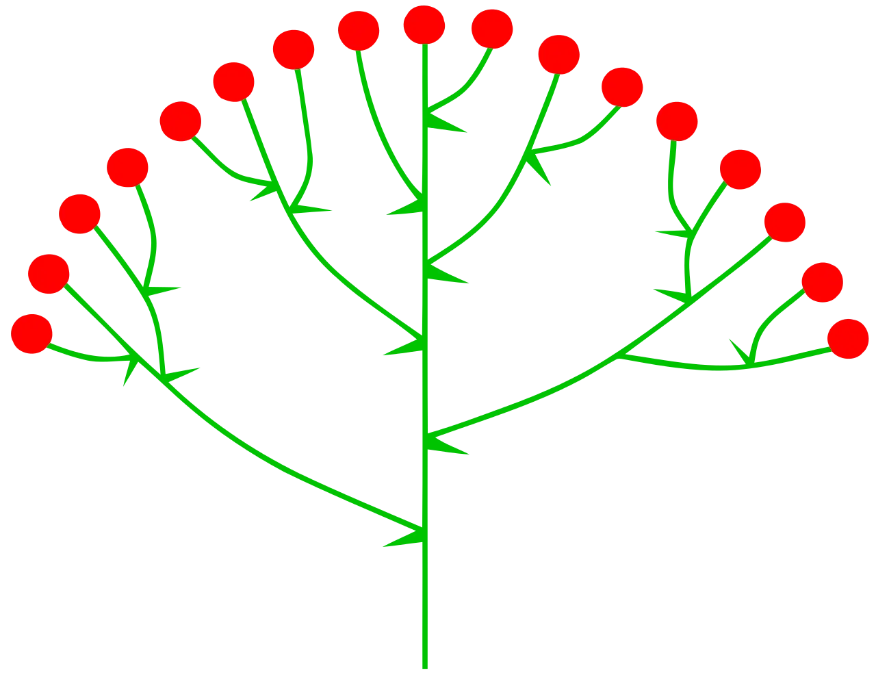 Phylogenetic Tree Diagram with Red Dots