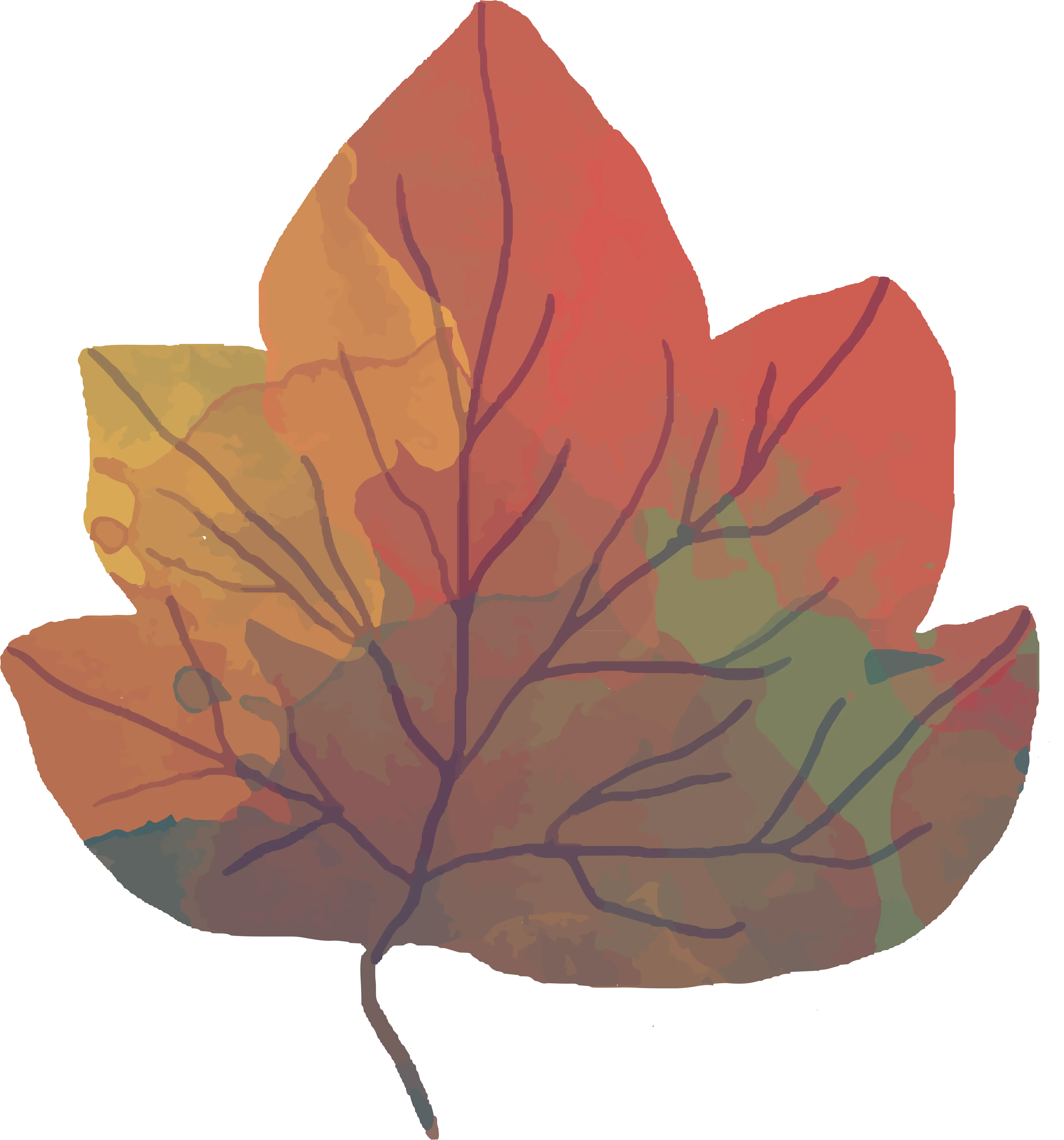 Colorful Autumn Leaf Illustration