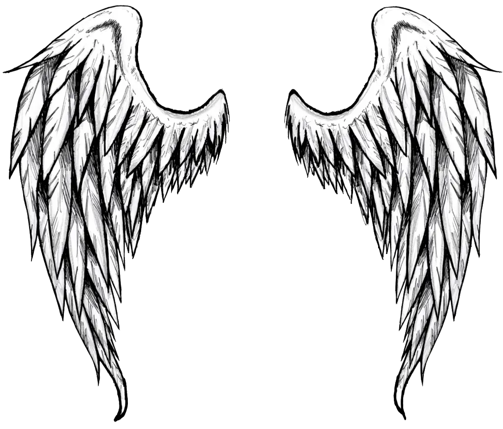 Angel Wings Sketch with Feather Details