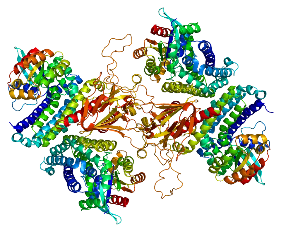 Protein Structure Representation